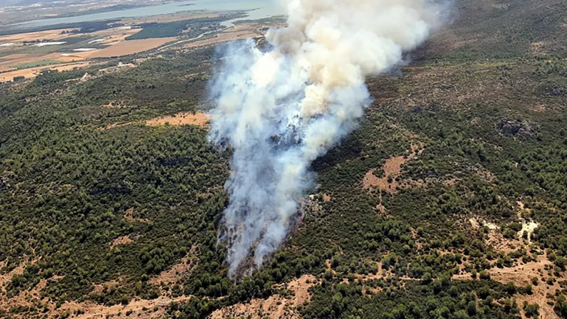 Menderes'te orman yangını başladı