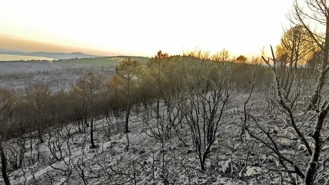 Menderes ve Aliağa’da soğutma çalışmaları devam ediyor