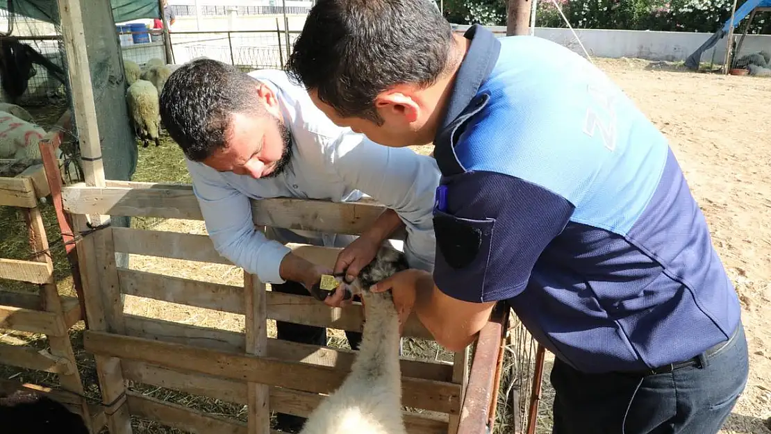 Menderes’te Kurbanlıklar kontrolden geçiyor