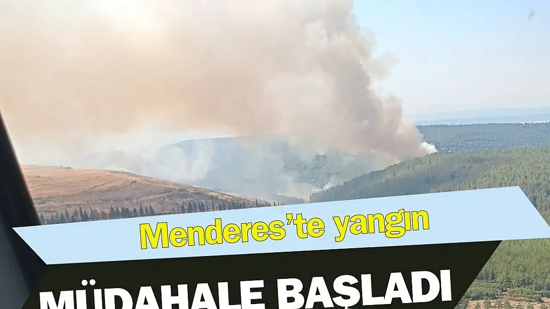 Menderes’te orman yangını