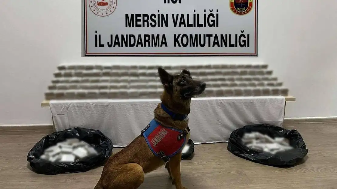 Mersin İl Jandarma Komutanlığı’ndan dev operasyon!