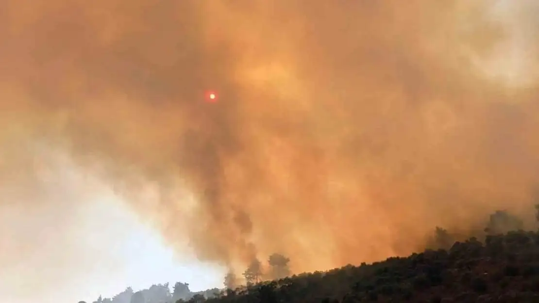 Milas’ta çıkan yangını torpille yakmış