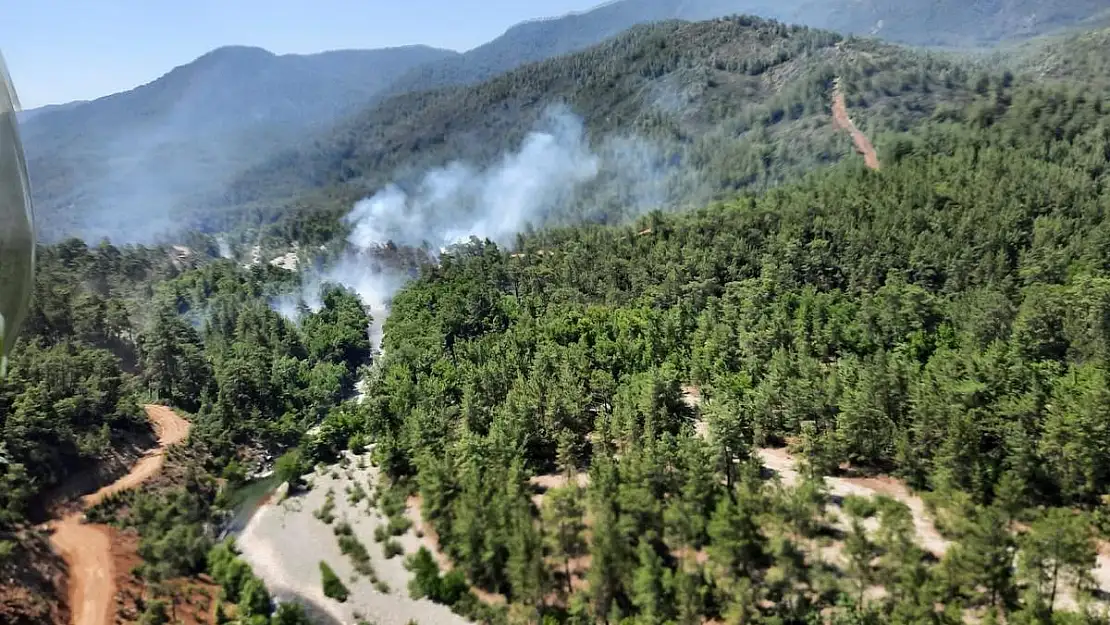 Muğla Köyceğiz’de orman yangını