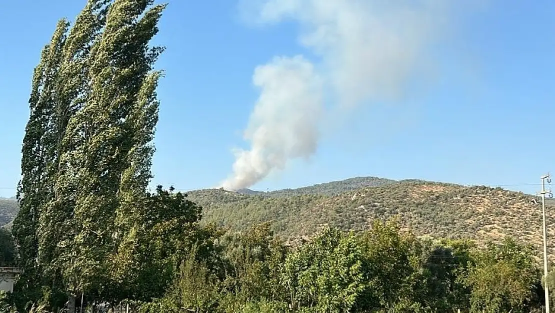 Muğla'nın Milas ilçesinde orman yangını