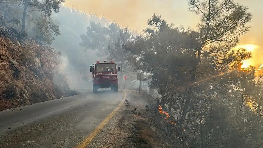 Muğla'nın üç bölgesinde orman yangını! 