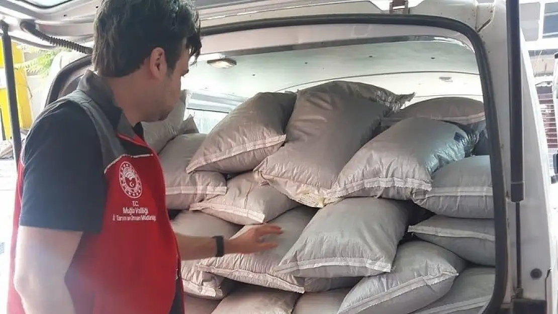 Muğla’da bin 460 kg kaçak çay ele geçirildi