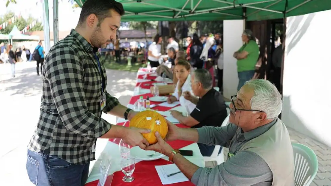 Muğla’da ‘En güzel kavun’ yarışması