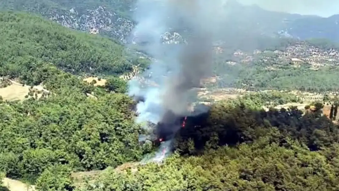 Muğla’da orman yangını