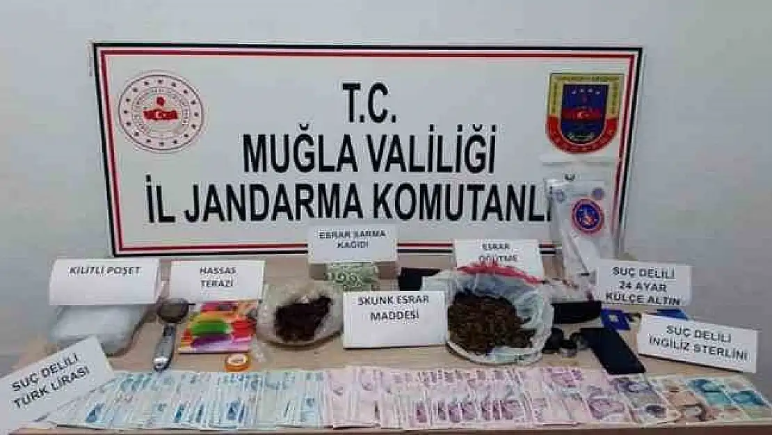 Muğla'nın 7 ilçesinde geniş kapsamlı uyuşturucu operasyonu