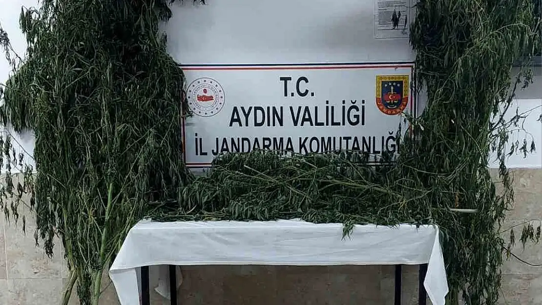 Nazilli'de jandarmadan uyuşturucu operasyonu