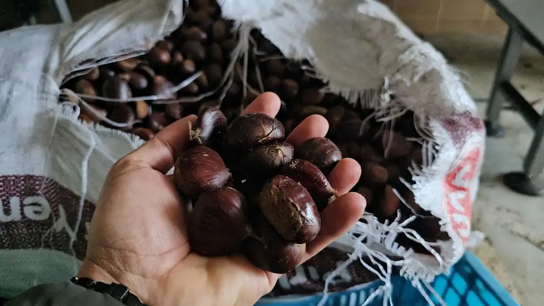 Nazilli’nin kestane şekeri, Uzak Doğu sofralarını süslüyor