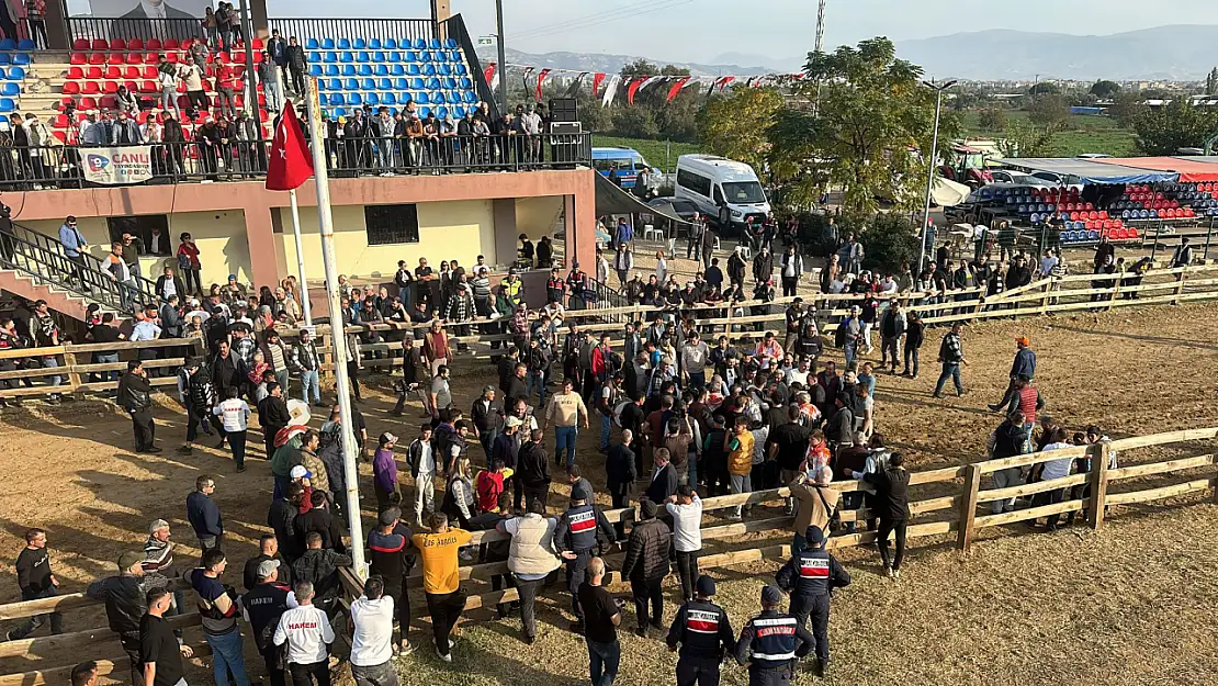 Ödemiş'te geleneksel rahvan at yarışları heyecanı: Şampiyonlar belli oldu