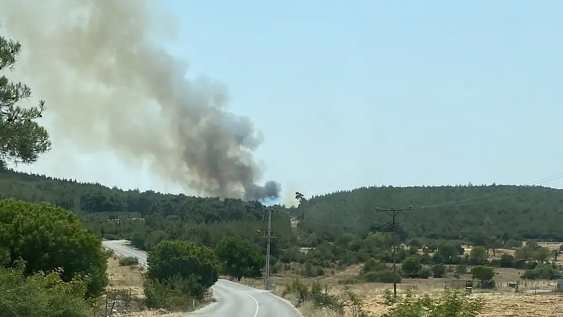 Ödemiş’in ardından Kınık’ta da yangın çıktı