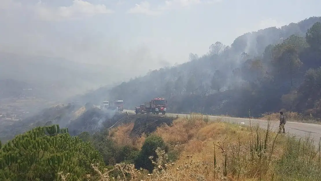 Ödemiş’te orman yangını