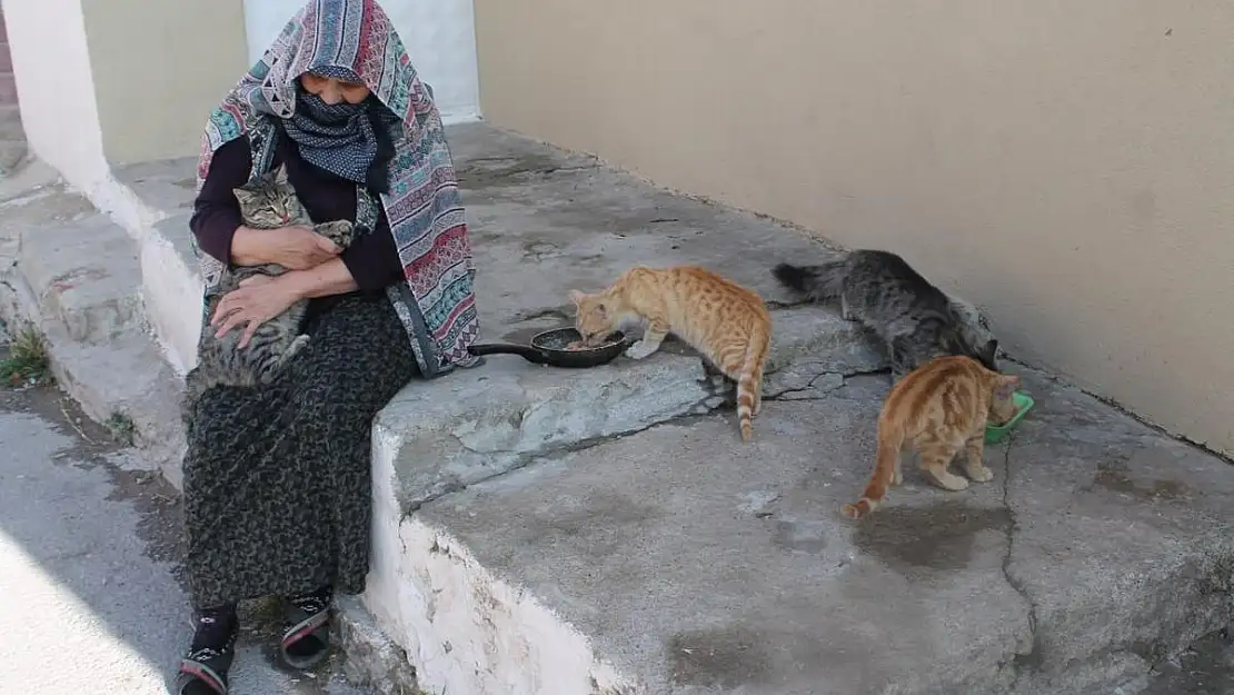 ‘Ömrüm yettiğince elim sokak hayvanlarında olacak’