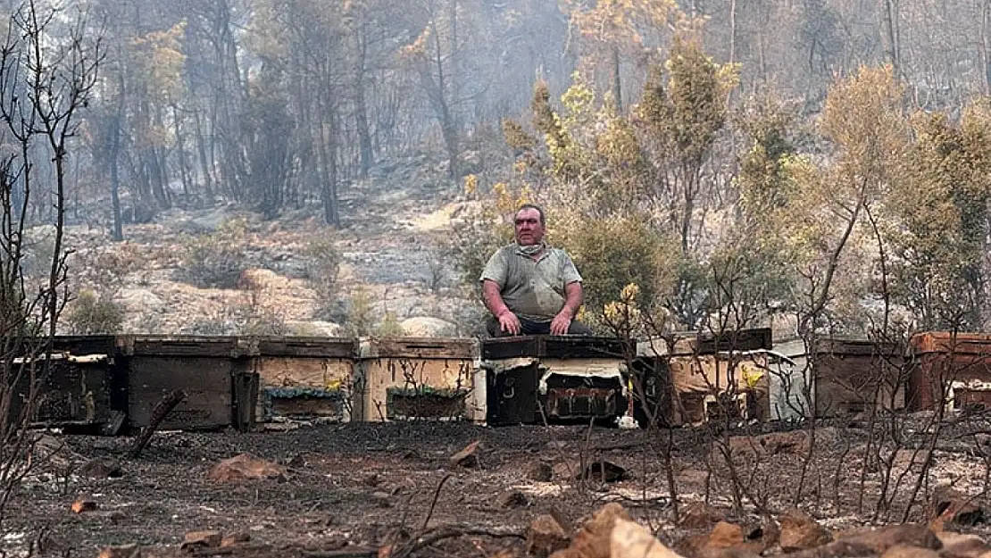 Orman yangınları sonrası üreticilere destek