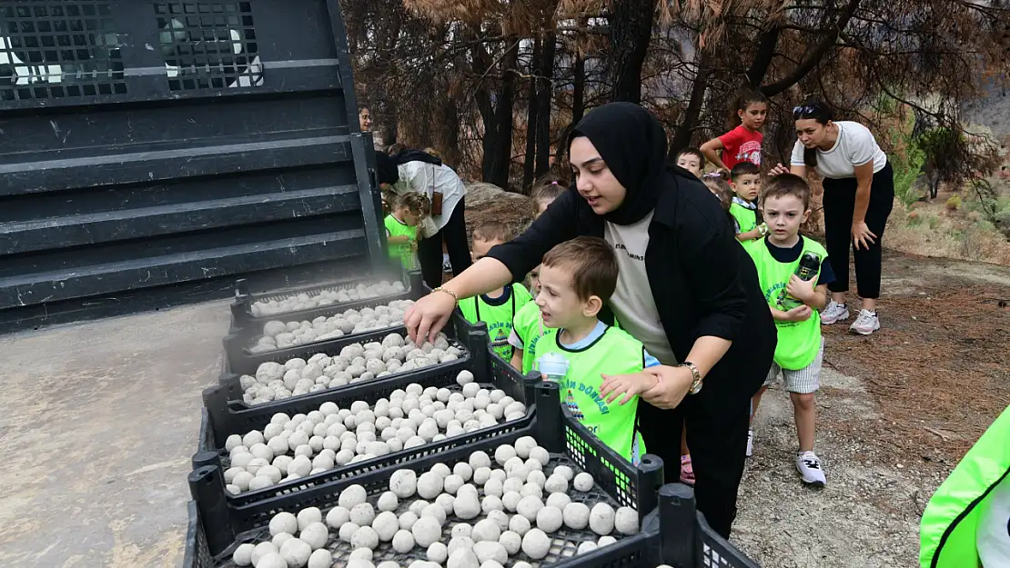 Ormanların yeniden yeşermesi için anlamlı adım