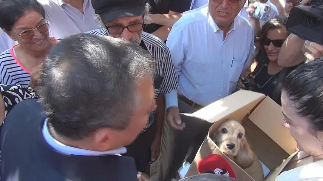 Özel Burdur’da yavru köpek sahiplendi