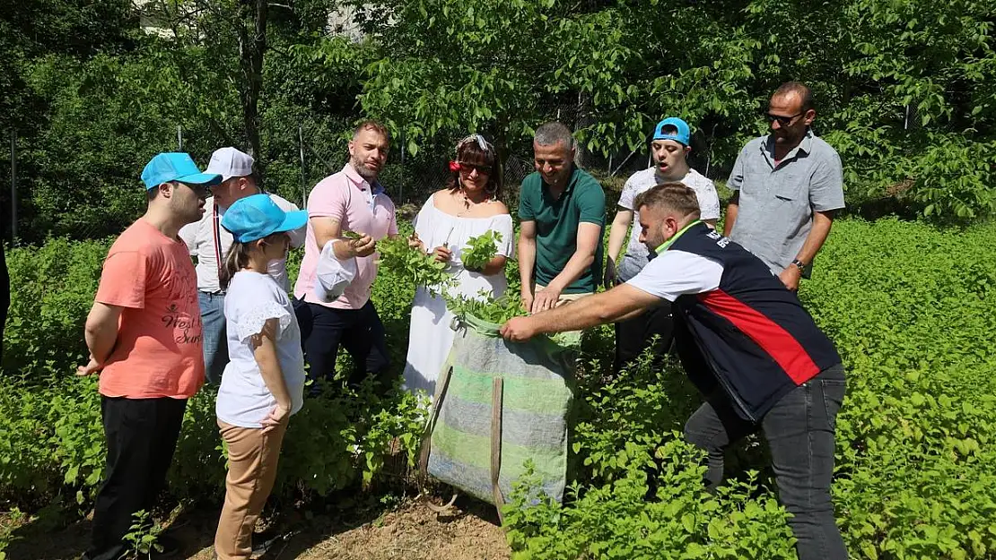 Özel gereksinimli çocuklar sebze ve aromatik bitki yetiştiriyor