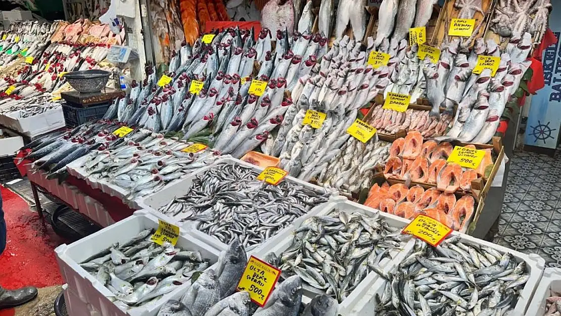 Palamutun fiyatı uçtu: Tezgahlarda hamsi ve çinekop dönemi!