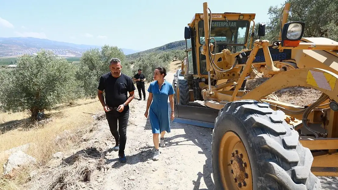 Pamucak'a daha çok ağaç, üreticilere yol