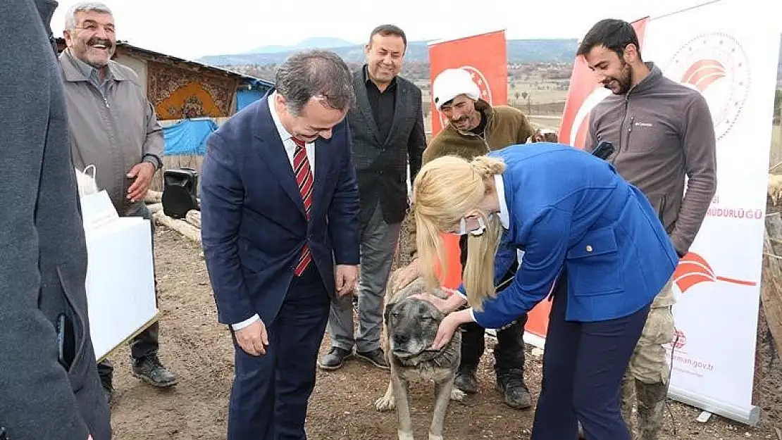 Parazite karşı ilaç dağıtımı yapıldı!