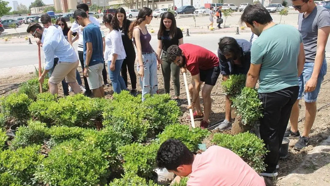 Peyzaj mimarları Ege'de yetiştiriliyor