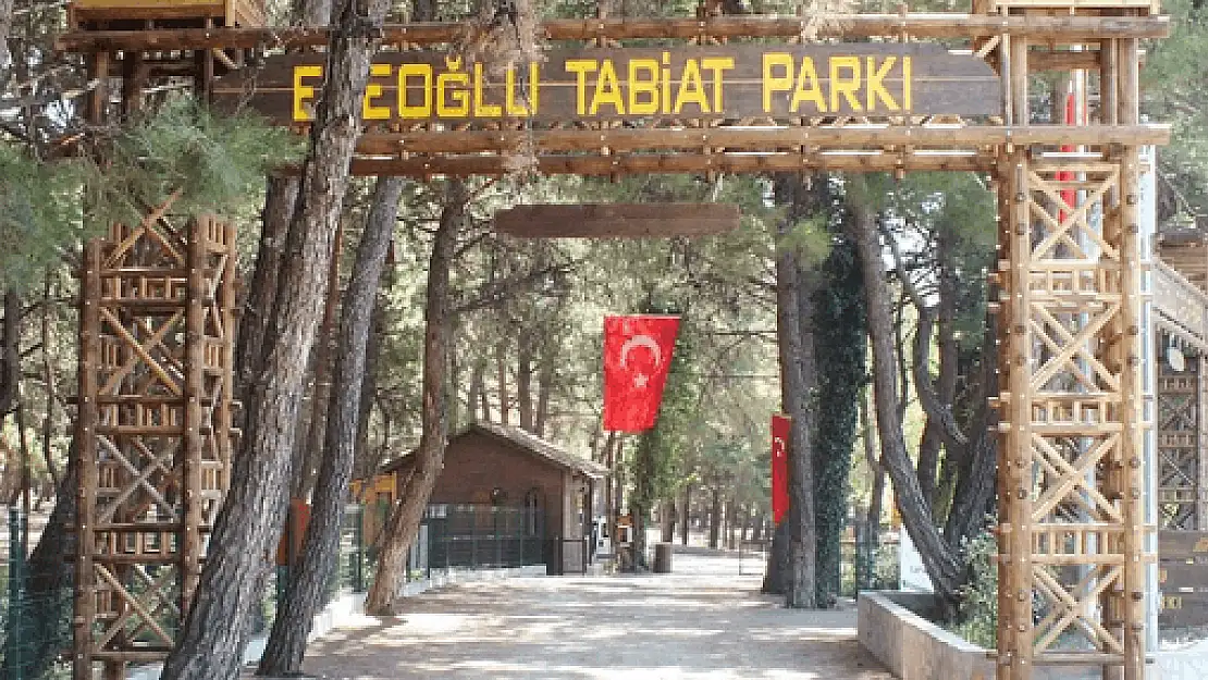 Piknik yapılabilecek en güzel yer: Efeoğlu Tabiat Parkı