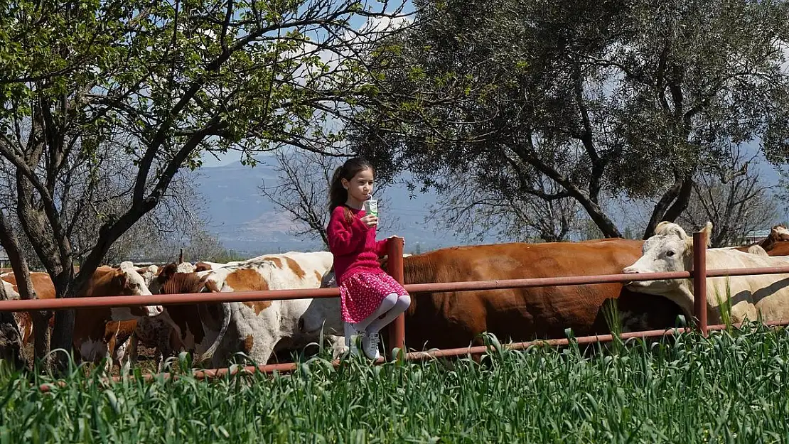 Pınar Süt, 35 ülkeye ulaşıyor