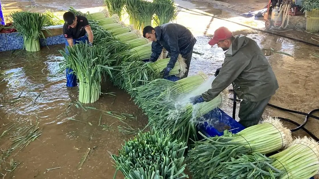 Pırasayı üretip yıkayan çiftçi toptancının yarısı kadar kazanamıyor