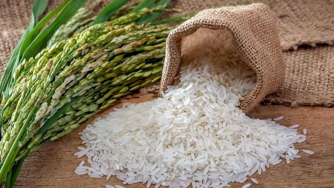 Pirinç tarladan sofraya nasıl geliyor? Türkiye'nin en kaliteli pirinci hangi bölgede yetişiyor?