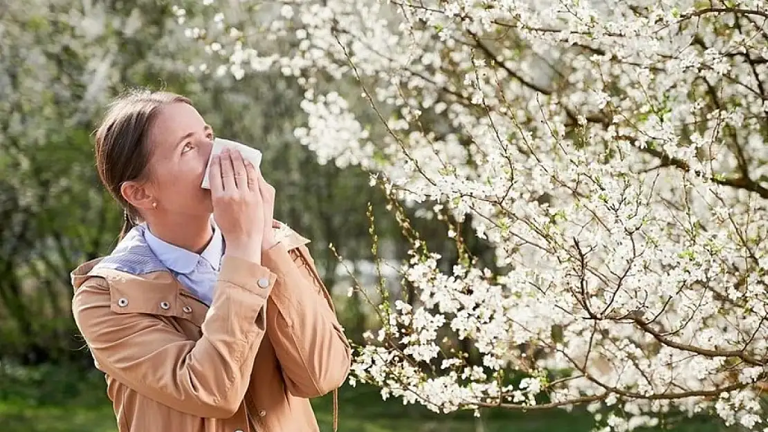 Polen alerjisi nedir? Belirtileri ve korunma yolları nelerdir?