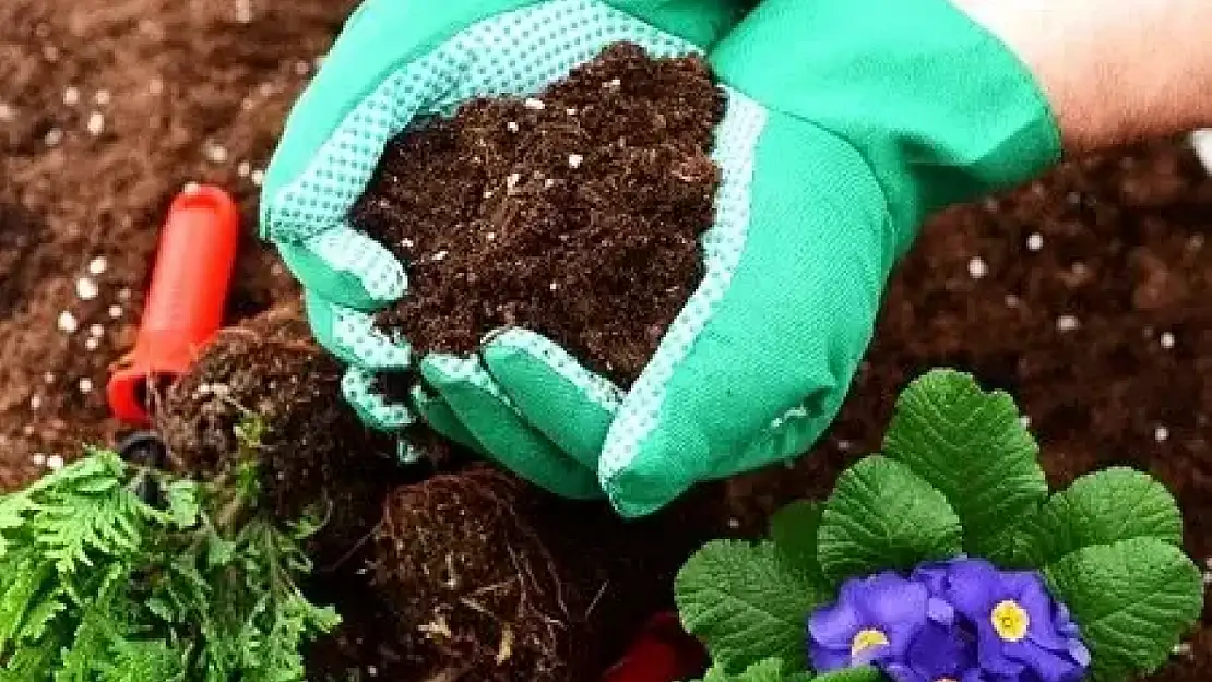 Rüyada çiçek dikmek: Manevi huzur ve başarı için ilk adım!