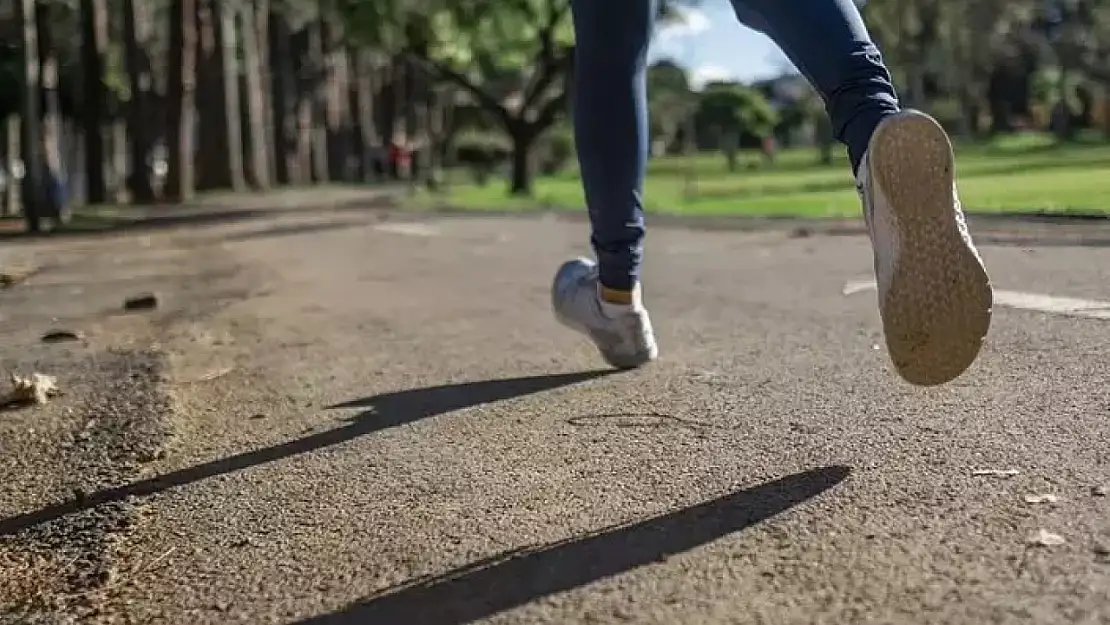 Rüyada hayvan tarafından kovalanmak ne anlama geliyor?