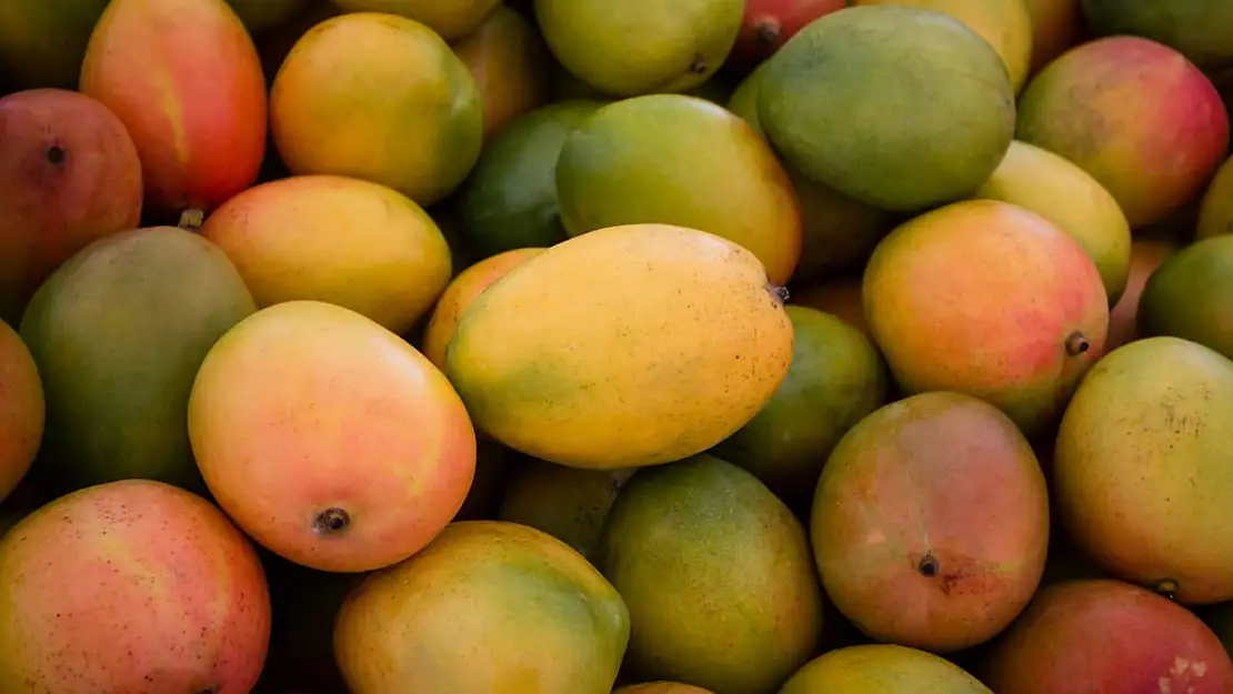 Rüyada mango yemek: Tatlı başlangıçlar ve iyi şansın işareti mi?