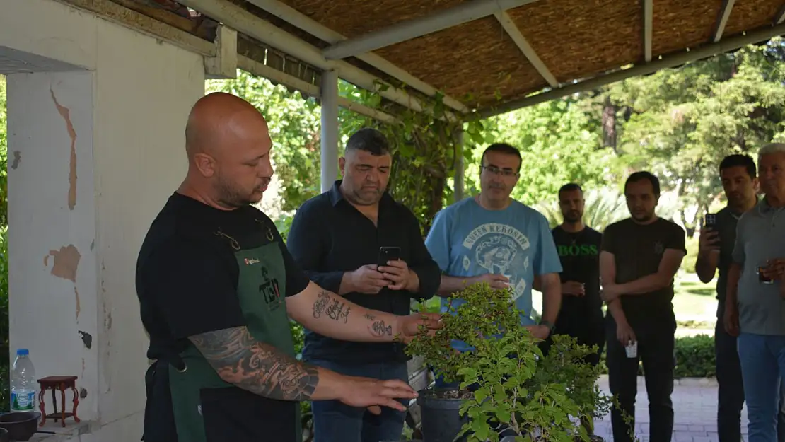 Saksıdaki sanat! Bonsai tutkusu Ege'de hayat buldu
