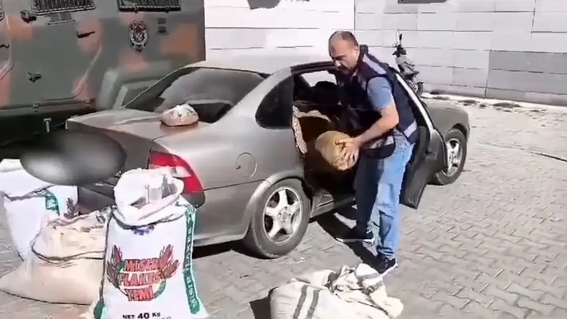 Samsun'da kaçak tütün operasyonu