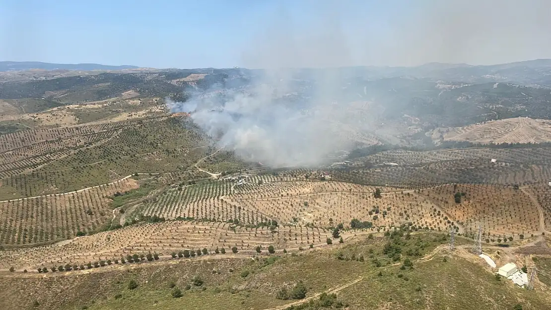 Seferihisar'da orman yangını! Müdahale sürüyor