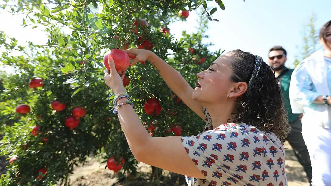 Selçuk narı ile de tanınacak