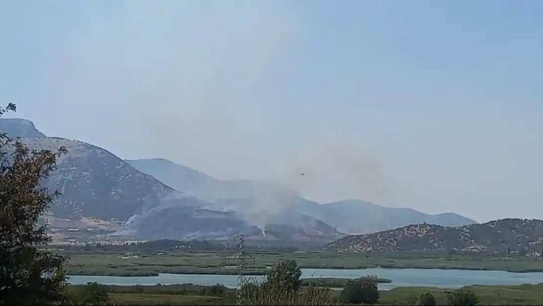 Selçuk’taki orman yangını kontrol altında