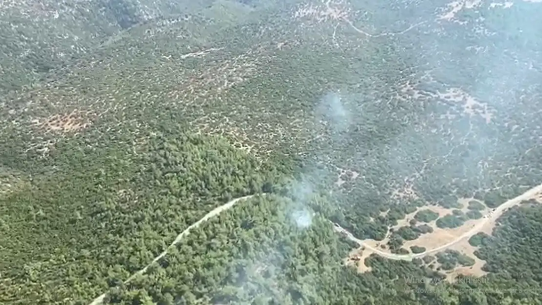 Selçuk’taki yangın kontrol altında