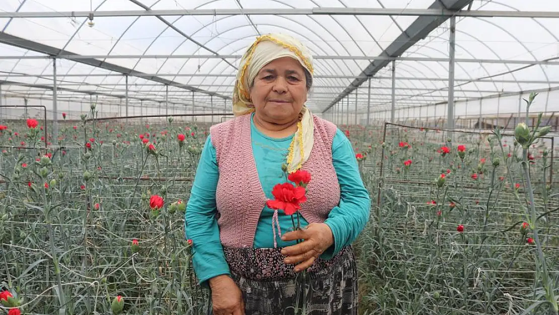 Sevgililer günü yaklaştı, çiçek fiyatları yükseldi!