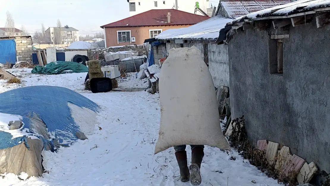 Sibirya soğukları doğu illerinde hayatı felç etti: Araçlar bile etkilendi