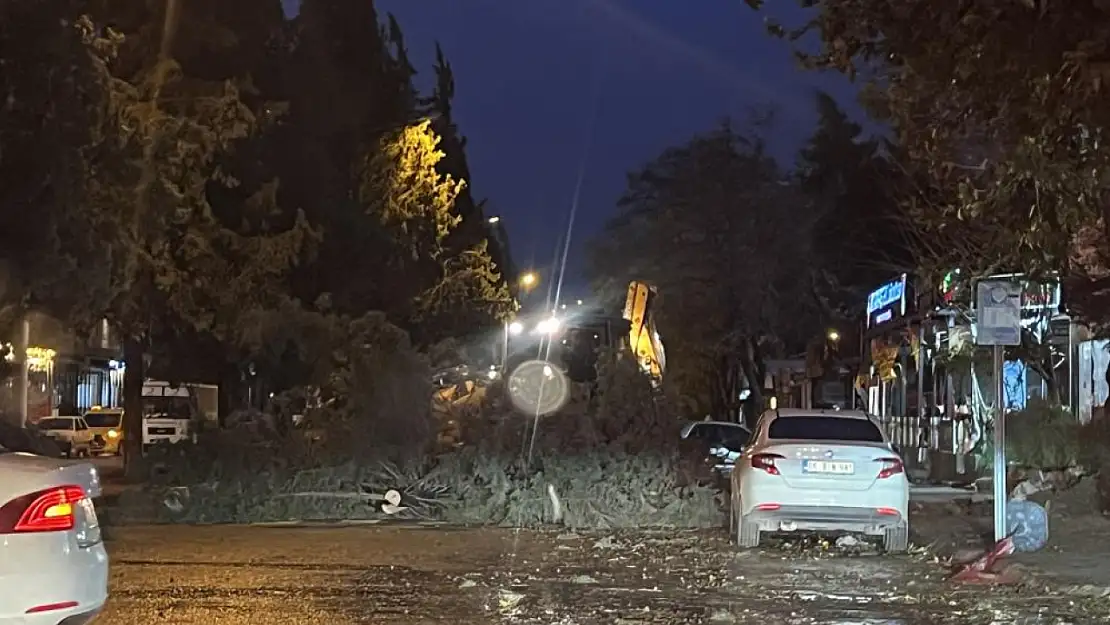 Şiddetli rüzgar ağaçları ve direkleri devirdi