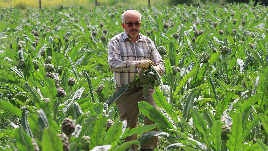 Siparişler Şubat'ta başlıyor, göbeği anında kapılıyor!