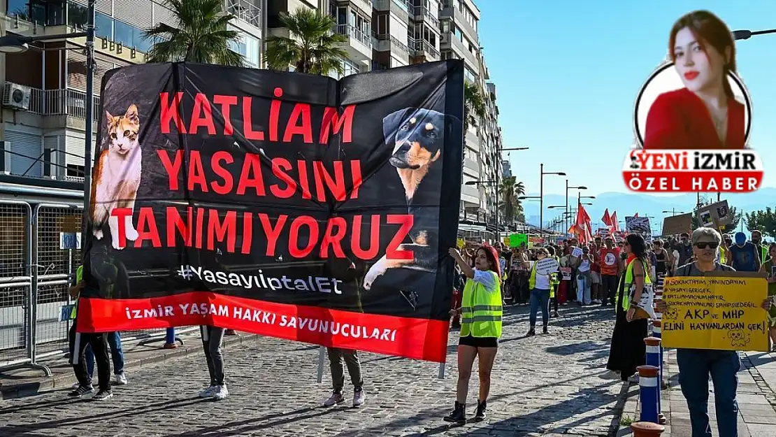 Sokak hayvanları için kafesli protesto: Aktivistler tek yürek oldu