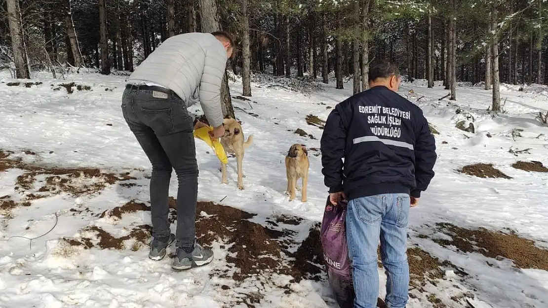 Sokak hayvanları için kar yağışı alan bölgelere yem desteği yapıldı