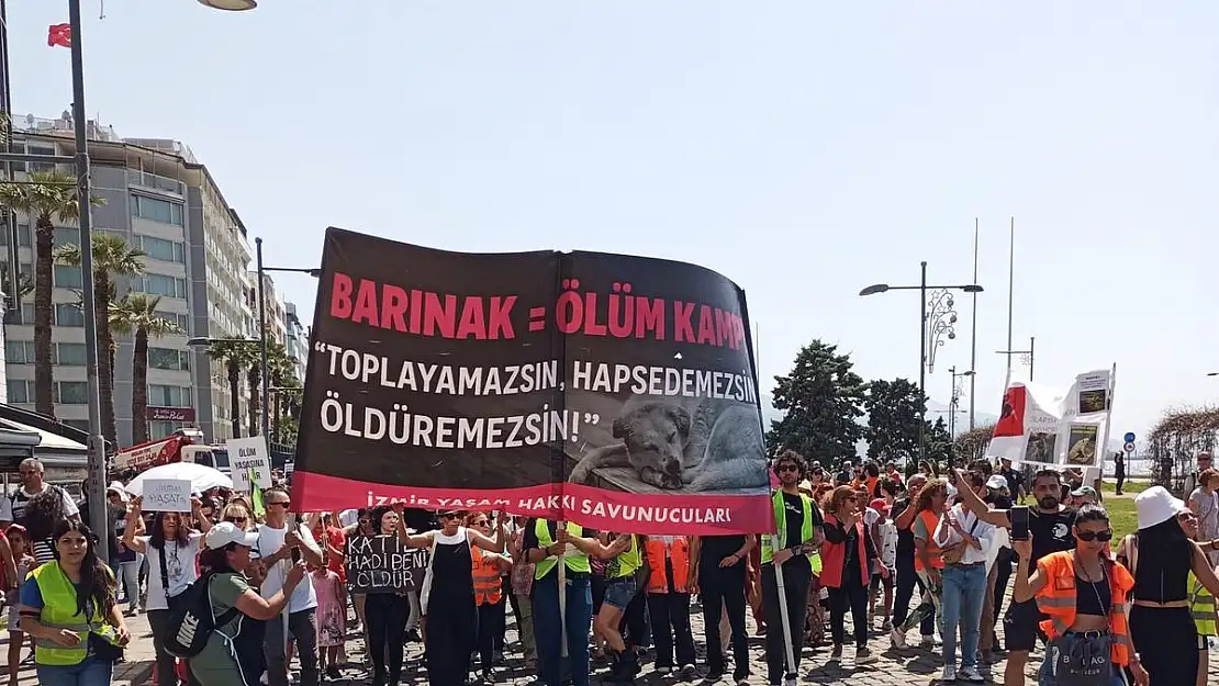 Sokak hayvanları için yürüdüler