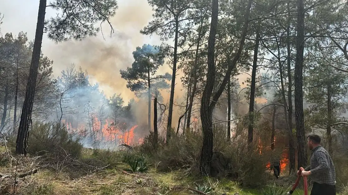 Son dakika! Antalya'da orman yangını başladı