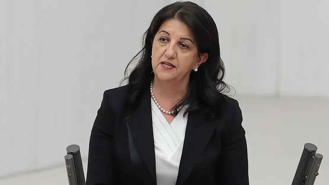 Son dakika! DEM Parti'den PKK'nın fesih kararının ardından İmralı ziyareti